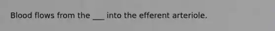 Blood flows from the ___ into the efferent arteriole.