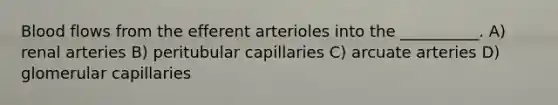 Blood flows from the efferent arterioles into the __________. A) renal arteries B) peritubular capillaries C) arcuate arteries D) glomerular capillaries