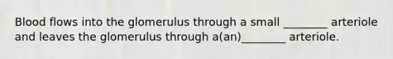 Blood flows into the glomerulus through a small ________ arteriole and leaves the glomerulus through a(an)________ arteriole.