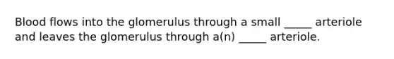 Blood flows into the glomerulus through a small _____ arteriole and leaves the glomerulus through a(n) _____ arteriole.