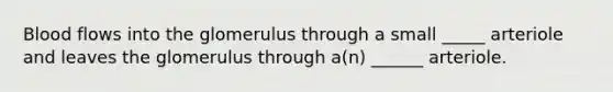 Blood flows into the glomerulus through a small _____ arteriole and leaves the glomerulus through a(n) ______ arteriole.