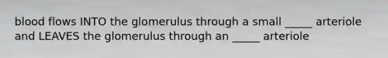 blood flows INTO the glomerulus through a small _____ arteriole and LEAVES the glomerulus through an _____ arteriole