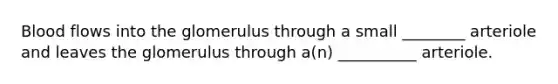 Blood flows into the glomerulus through a small ________ arteriole and leaves the glomerulus through a(n) __________ arteriole.