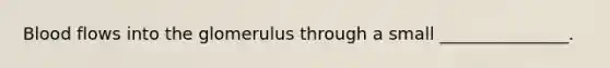 Blood flows into the glomerulus through a small _______________.