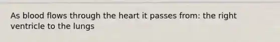 As blood flows through the heart it passes from: the right ventricle to the lungs