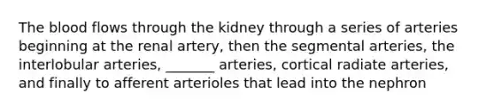 The blood flows through the kidney through a series of arteries beginning at the renal artery, then the segmental arteries, the interlobular arteries, _______ arteries, cortical radiate arteries, and finally to afferent arterioles that lead into the nephron