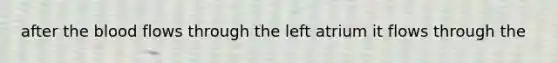 after the blood flows through the left atrium it flows through the