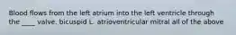 Blood flows from the left atrium into the left ventricle through the ____ valve. bicuspid L. atrioventricular mitral all of the above