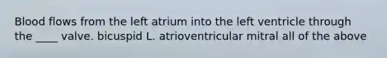 Blood flows from the left atrium into the left ventricle through the ____ valve. bicuspid L. atrioventricular mitral all of the above