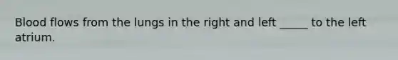 Blood flows from the lungs in the right and left _____ to the left atrium.