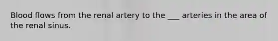 Blood flows from the renal artery to the ___ arteries in the area of the renal sinus.