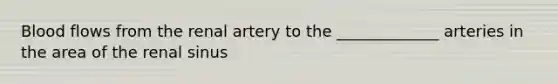 Blood flows from the renal artery to the _____________ arteries in the area of the renal sinus