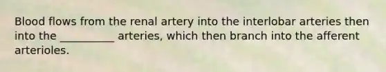 Blood flows from the renal artery into the interlobar arteries then into the __________ arteries, which then branch into the afferent arterioles.