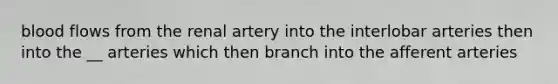 blood flows from the renal artery into the interlobar arteries then into the __ arteries which then branch into the afferent arteries