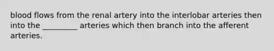 blood flows from the renal artery into the interlobar arteries then into the _________ arteries which then branch into the afferent arteries.