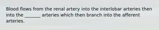 Blood flows from the renal artery into the interlobar arteries then into the _______ arteries which then branch into the afferent arteries.