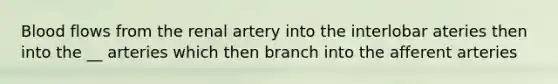 Blood flows from the renal artery into the interlobar ateries then into the __ arteries which then branch into the afferent arteries