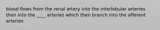 blood flows from the renal artery into the interlobular arteries then into the ____ arteries which then branch into the afferent arteries