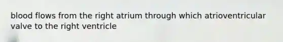 blood flows from the right atrium through which atrioventricular valve to the right ventricle