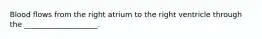 Blood flows from the right atrium to the right ventricle through the ____________________.