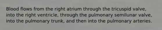 Blood flows from the right atrium through the tricuspid valve, into the right ventricle, through the pulmonary semilunar valve, into the pulmonary trunk, and then into the pulmonary arteries.