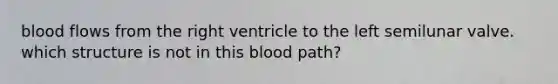 blood flows from the right ventricle to the left semilunar valve. which structure is not in this blood path?