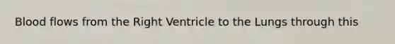 Blood flows from the Right Ventricle to the Lungs through this