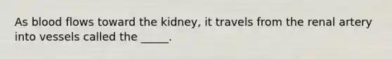 As blood flows toward the kidney, it travels from the renal artery into vessels called the _____.