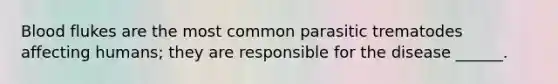 Blood flukes are the most common parasitic trematodes affecting humans; they are responsible for the disease ______.