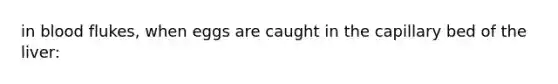 in blood flukes, when eggs are caught in the capillary bed of the liver: