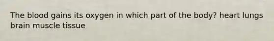 The blood gains its oxygen in which part of the body? heart lungs brain muscle tissue