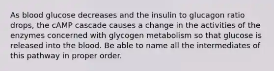 As blood glucose decreases and the insulin to glucagon ratio drops, the cAMP cascade causes a change in the activities of the enzymes concerned with glycogen metabolism so that glucose is released into <a href='https://www.questionai.com/knowledge/k7oXMfj7lk-the-blood' class='anchor-knowledge'>the blood</a>. Be able to name all the intermediates of this pathway in proper order.