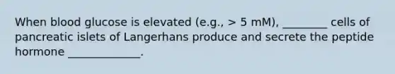 When blood glucose is elevated (e.g., > 5 mM), ________ cells of pancreatic islets of Langerhans produce and secrete the peptide hormone _____________.