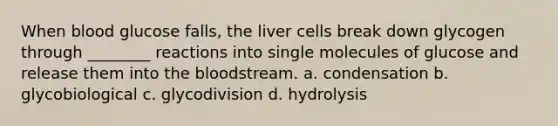 When blood glucose falls, the liver cells break down glycogen through ________ reactions into single molecules of glucose and release them into the bloodstream. a. condensation b. glycobiological c. glycodivision d. hydrolysis