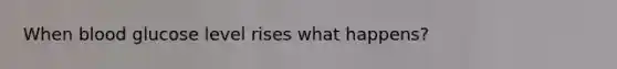 When blood glucose level rises what happens?