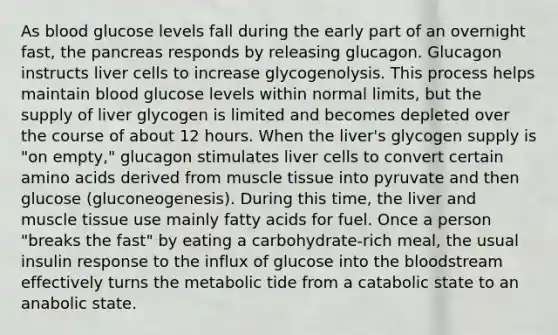 As blood glucose levels fall during the early part of an overnight fast, <a href='https://www.questionai.com/knowledge/kITHRba4Cd-the-pancreas' class='anchor-knowledge'>the pancreas</a> responds by releasing glucagon. Glucagon instructs liver cells to increase glycogenolysis. This process helps maintain blood glucose levels within normal limits, but the supply of liver glycogen is limited and becomes depleted over the course of about 12 hours. When the liver's glycogen supply is "on empty," glucagon stimulates liver cells to convert certain amino acids derived from <a href='https://www.questionai.com/knowledge/kMDq0yZc0j-muscle-tissue' class='anchor-knowledge'>muscle tissue</a> into pyruvate and then glucose (gluconeogenesis). During this time, the liver and muscle tissue use mainly fatty acids for fuel. Once a person "breaks the fast" by eating a carbohydrate-rich meal, the usual insulin response to the influx of glucose into <a href='https://www.questionai.com/knowledge/k7oXMfj7lk-the-blood' class='anchor-knowledge'>the blood</a>stream effectively turns the metabolic tide from a catabolic state to an anabolic state.