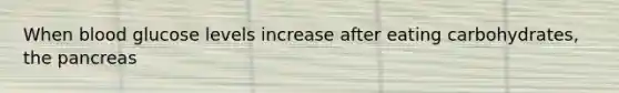 When blood glucose levels increase after eating carbohydrates, the pancreas