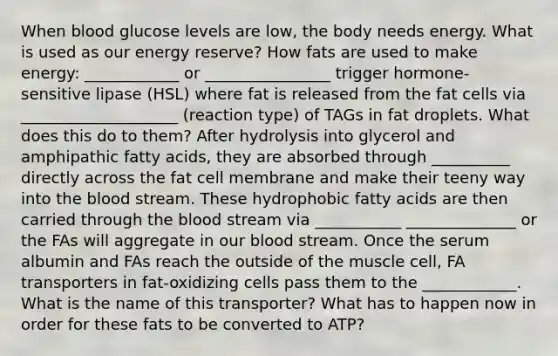 When blood glucose levels are low, the body needs energy. What is used as our energy reserve? How fats are used to make energy: ____________ or ________________ trigger hormone-sensitive lipase (HSL) where fat is released from the fat cells via ____________________ (reaction type) of TAGs in fat droplets. What does this do to them? After hydrolysis into glycerol and amphipathic fatty acids, they are absorbed through __________ directly across the fat cell membrane and make their teeny way into the blood stream. These hydrophobic fatty acids are then carried through the blood stream via ___________ ______________ or the FAs will aggregate in our blood stream. Once the serum albumin and FAs reach the outside of the muscle cell, FA transporters in fat-oxidizing cells pass them to the ____________. What is the name of this transporter? What has to happen now in order for these fats to be converted to ATP?