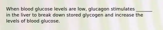 When blood glucose levels are low, glucagon stimulates _______ in the liver to break down stored glycogen and increase the levels of blood glucose.