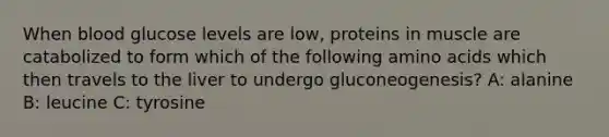 When blood glucose levels are low, proteins in muscle are catabolized to form which of the following amino acids which then travels to the liver to undergo gluconeogenesis? A: alanine B: leucine C: tyrosine