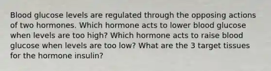 Blood glucose levels are regulated through the opposing actions of two hormones. Which hormone acts to lower blood glucose when levels are too high? Which hormone acts to raise blood glucose when levels are too low? What are the 3 target tissues for the hormone insulin?