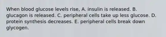 When blood glucose levels rise, A. insulin is released. B. glucagon is released. C. peripheral cells take up less glucose. D. protein synthesis decreases. E. peripheral cells break down glycogen.