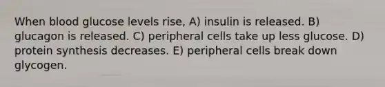 When blood glucose levels rise, A) insulin is released. B) glucagon is released. C) peripheral cells take up less glucose. D) <a href='https://www.questionai.com/knowledge/kVyphSdCnD-protein-synthesis' class='anchor-knowledge'>protein synthesis</a> decreases. E) peripheral cells break down glycogen.