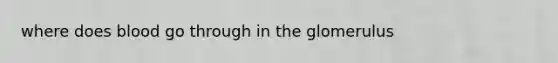 where does blood go through in the glomerulus