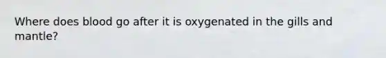 Where does blood go after it is oxygenated in the gills and mantle?