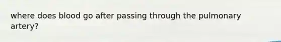 where does blood go after passing through the pulmonary artery?