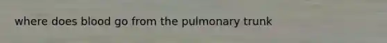 where does blood go from the pulmonary trunk