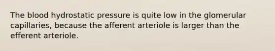 The blood hydrostatic pressure is quite low in the glomerular capillaries, because the afferent arteriole is larger than the efferent arteriole.