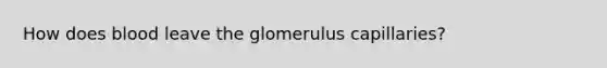 How does blood leave the glomerulus capillaries?