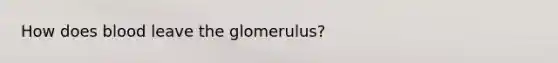 How does blood leave the glomerulus?